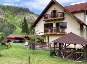 Vila Ianis Bran, Bran